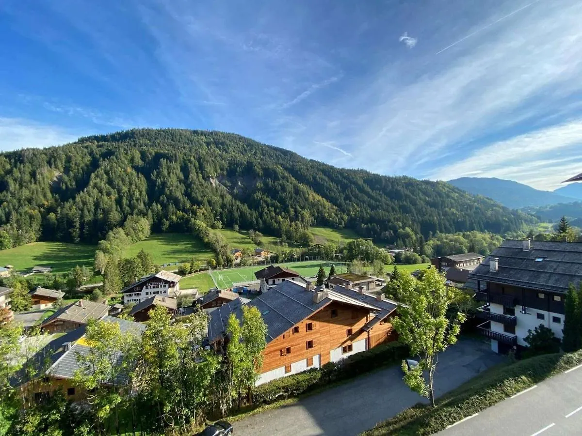 Appartement 2 Pieces, 5 Pers, Le Grand-Bornand, Lumineux, Proche Centre, Navette, Casier A Ski - Fr-1-241-54 0*,  France